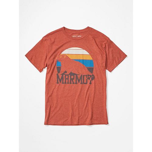 Marmot Dawning T-Shirts For Mens Multicolor LKJ976328